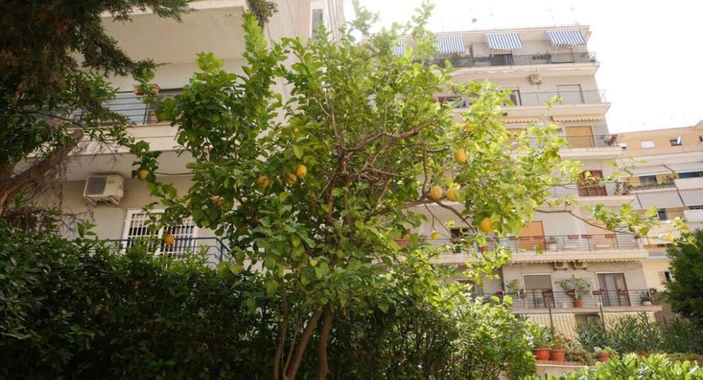 House With Garden And Parking Space In Mergellina Napoli Eksteriør billede